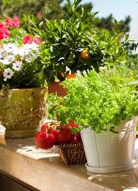 Anamur Escort Serüveni: Çıtı Pıtı Bedenine Hayran Kalacaksın!